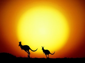sunset-with-australian-kangaroos